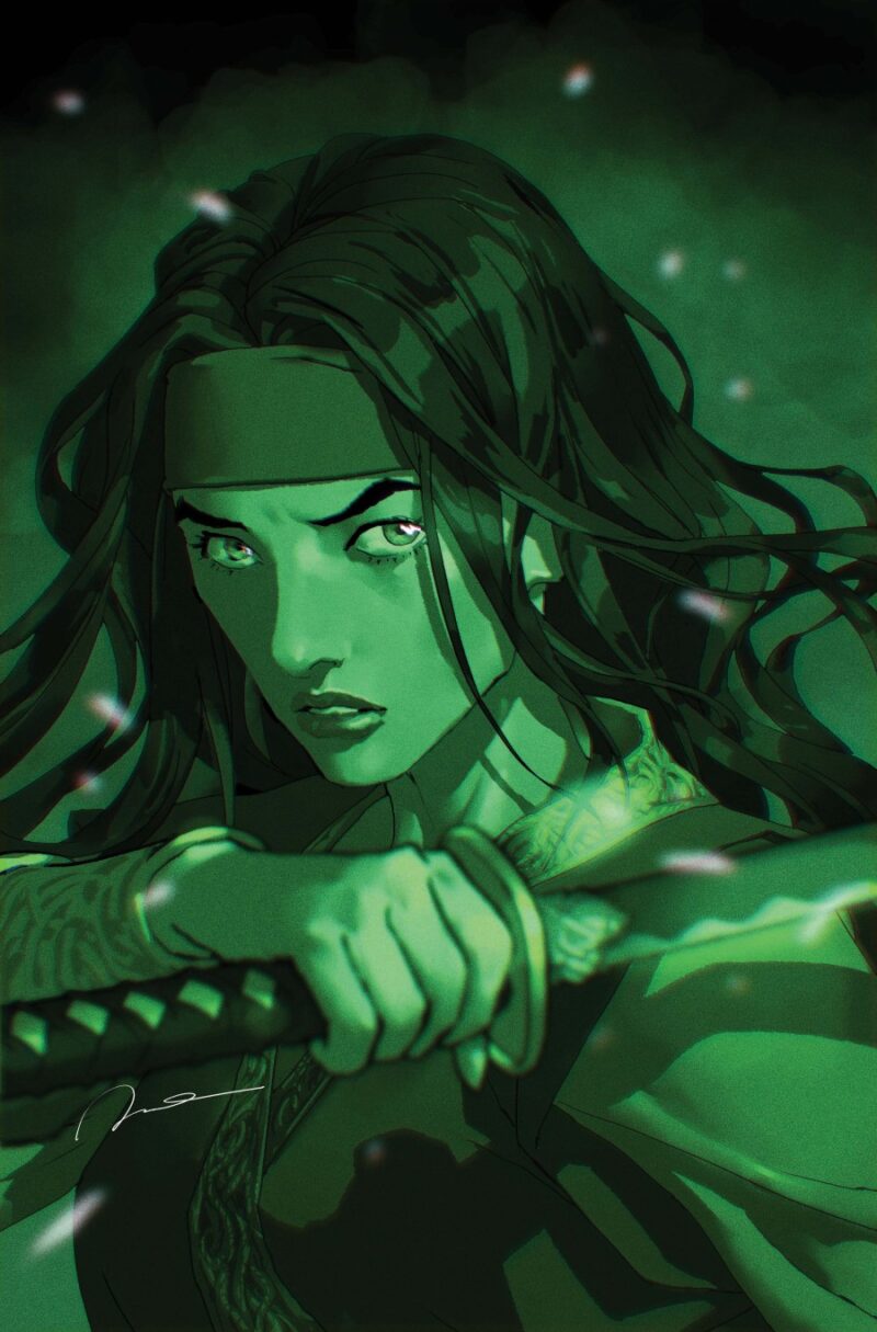 Cheetah And Cheshire Rob The Justice League Cvr B Gerald Parel Card Stock Var #2