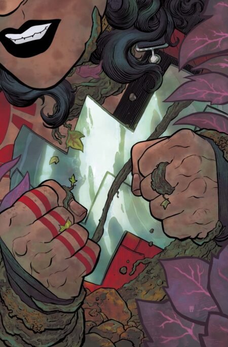 Absolute Wonder Woman Cvr A Hayden Sherman #14
