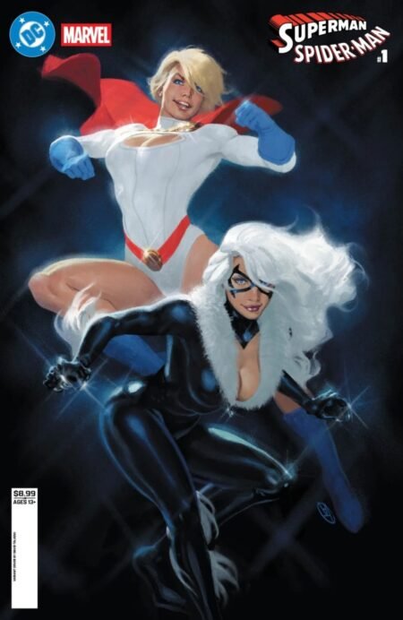 Dc Marvel Superman Spider-Man Cvr V David Talaski Power Girl And Black Cat Card Stock Var #1