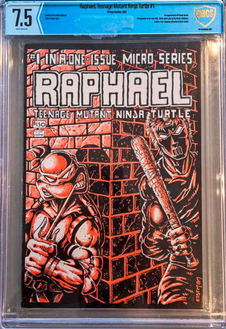 Raphael: Teenage Mutant Ninja Turtle #1 CBCS 7.5