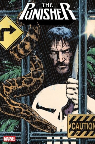 Punisher Cover B Jorge Fornes Variant #11